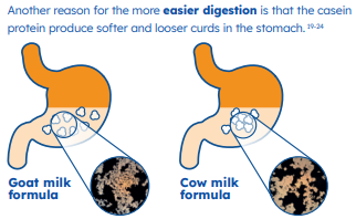 Goat milk benefits 2